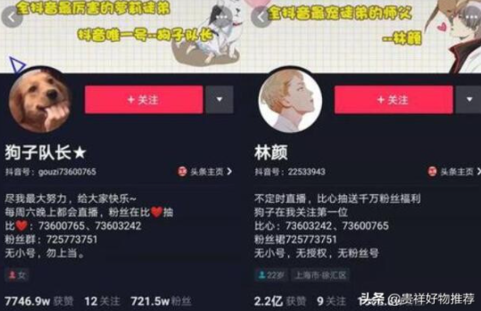 抖音粉丝排行榜前500（2021抖音网红排名）